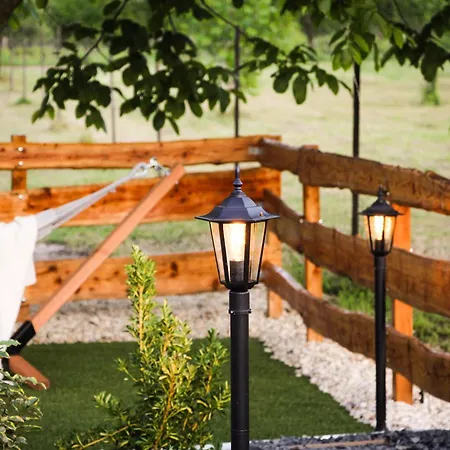 Kis Fakucko, Balatonhoz Koezel