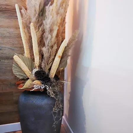 Kis Fakucko, Balatonhoz Koezel * Soly